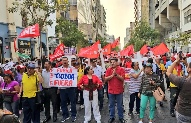 Unidad Popular pide una multa para la expresidenta del CNE, Diana Atamaint